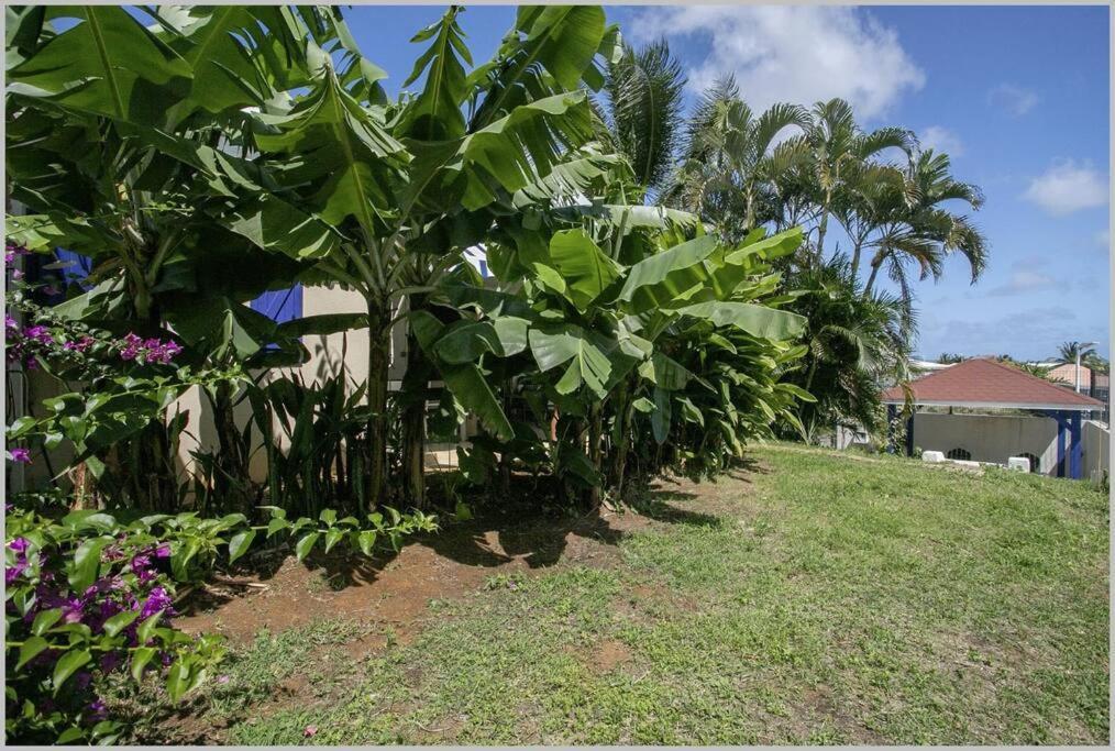 Villa Mango 150 Metres Plage A Pied Sainte-Luce Extérieur photo