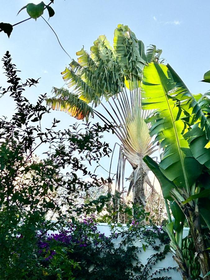 Villa Mango 150 Metres Plage A Pied Sainte-Luce Extérieur photo